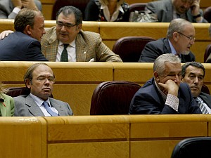 ESPAÑA-SENADO-TRIBUNAL CONSTITUCIONAL