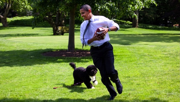 Obama-Bo (Blog AG)
