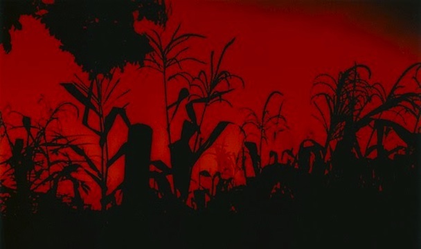 Fotograma de 'Sorgo rojo'
