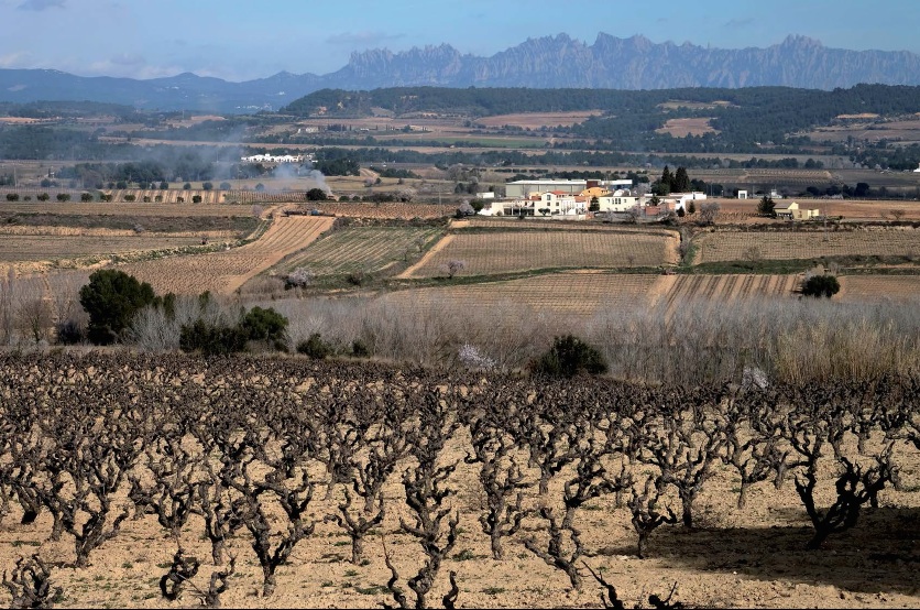Penedés_antes