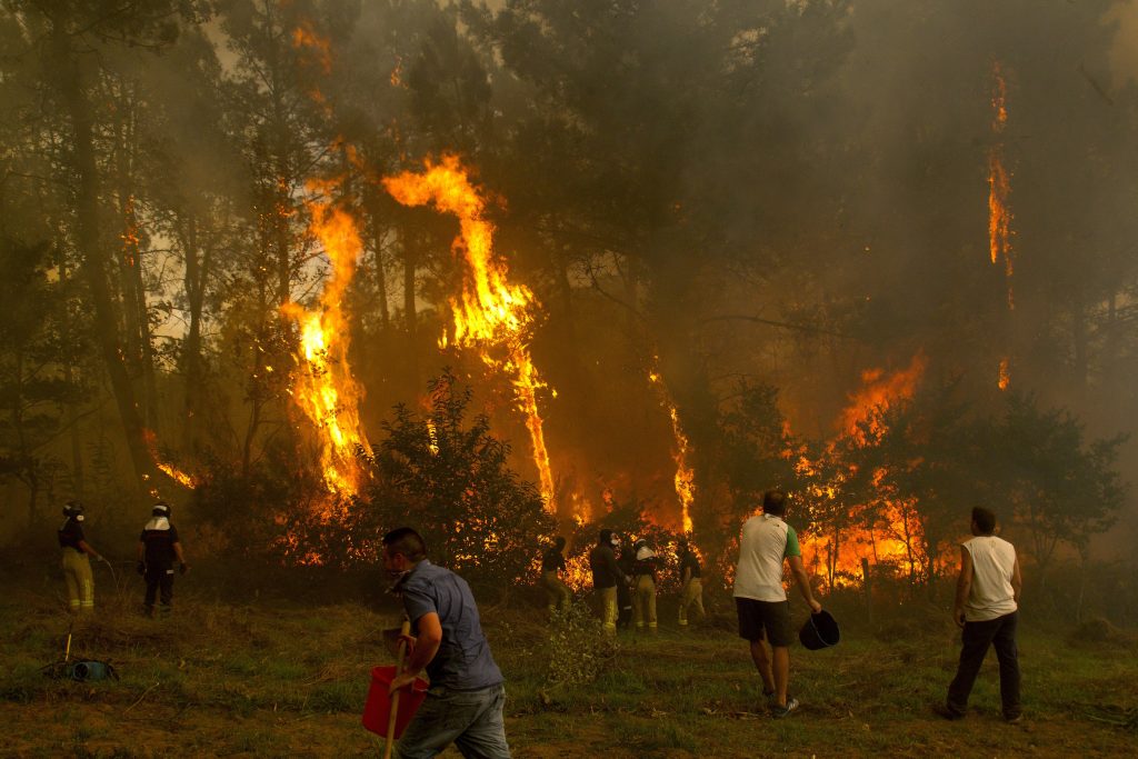 Vecinos de Vigo ayudan a los equipos de extinción a combatir un fuego.
