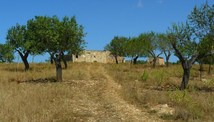 Imagen de una finca en Mallorca.