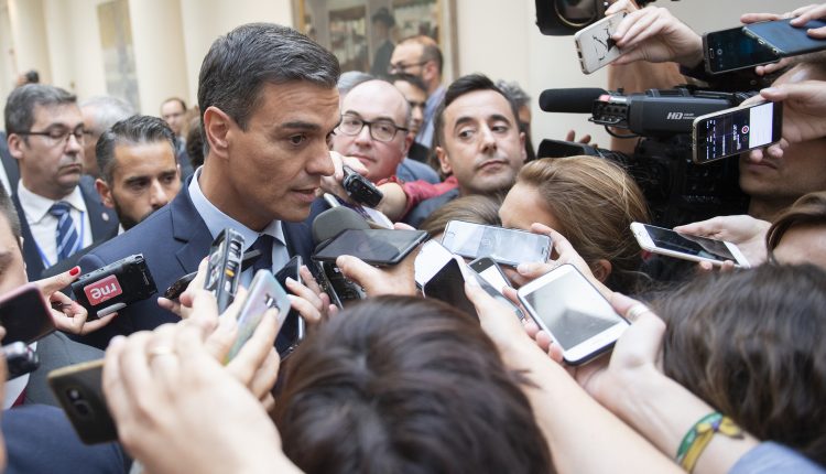 pedro-sanchez-senado