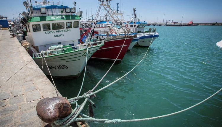 Los pesqueros que han quedado amarrados en el puerto de Barbate (Cádiz) al haber expirado el protocolo de pesca firmado entre Marruecos y la Unión Europea en 2014.