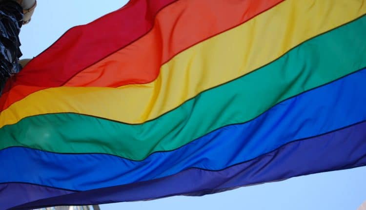 Bandera del orgullo. orgullos