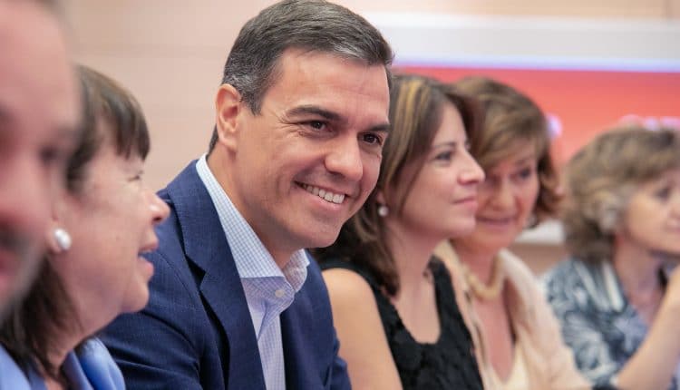 Pedro Sánchez