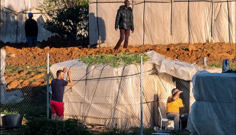 Varios migrantes en uno de los asentamientos de chabolas en Lepe./ Julián Pérez (Efe)