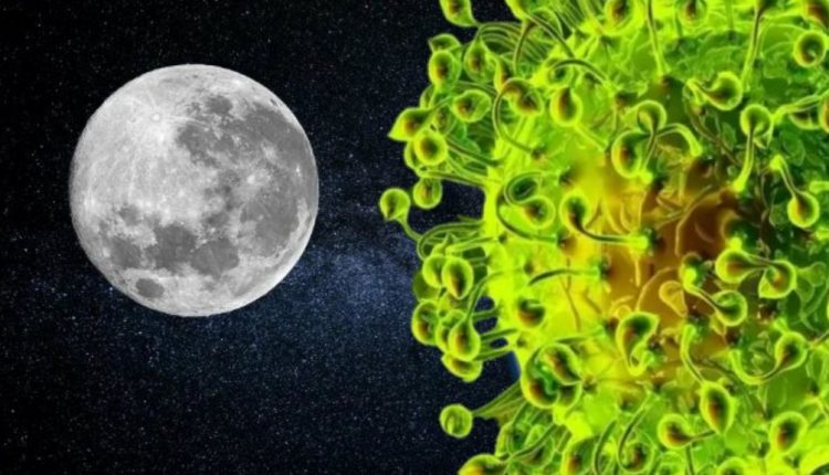 coronavirus-Covid-19