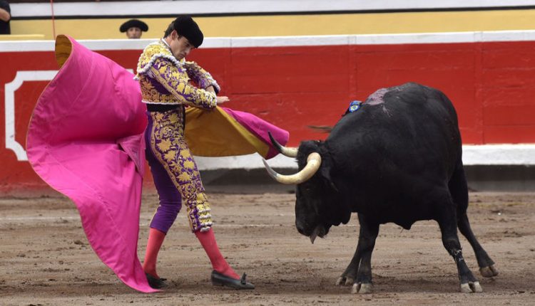 tauromaquia