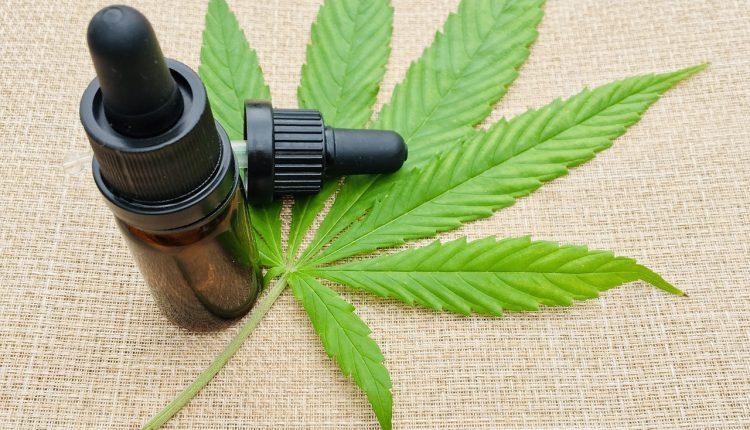 cannabis medicinal