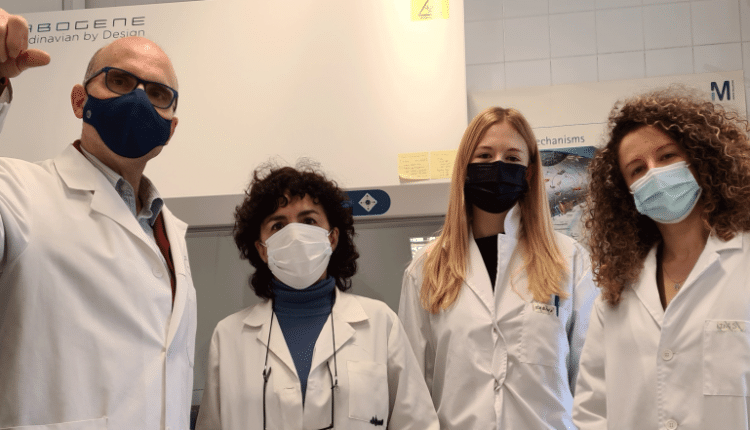 investigación
