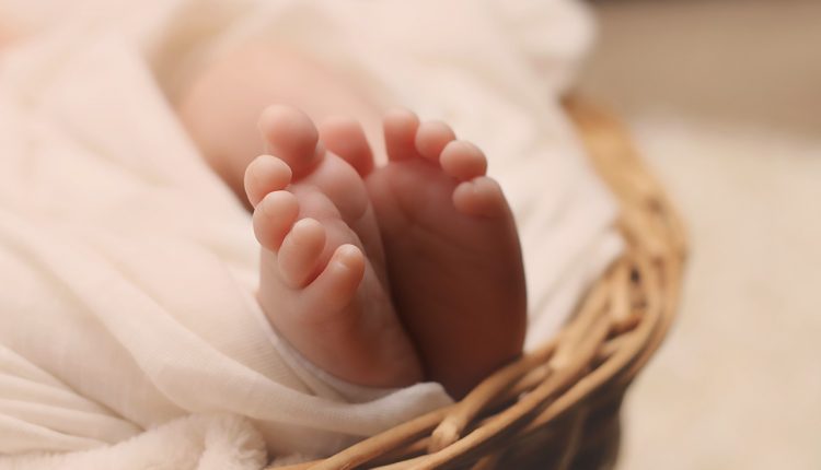 bebés